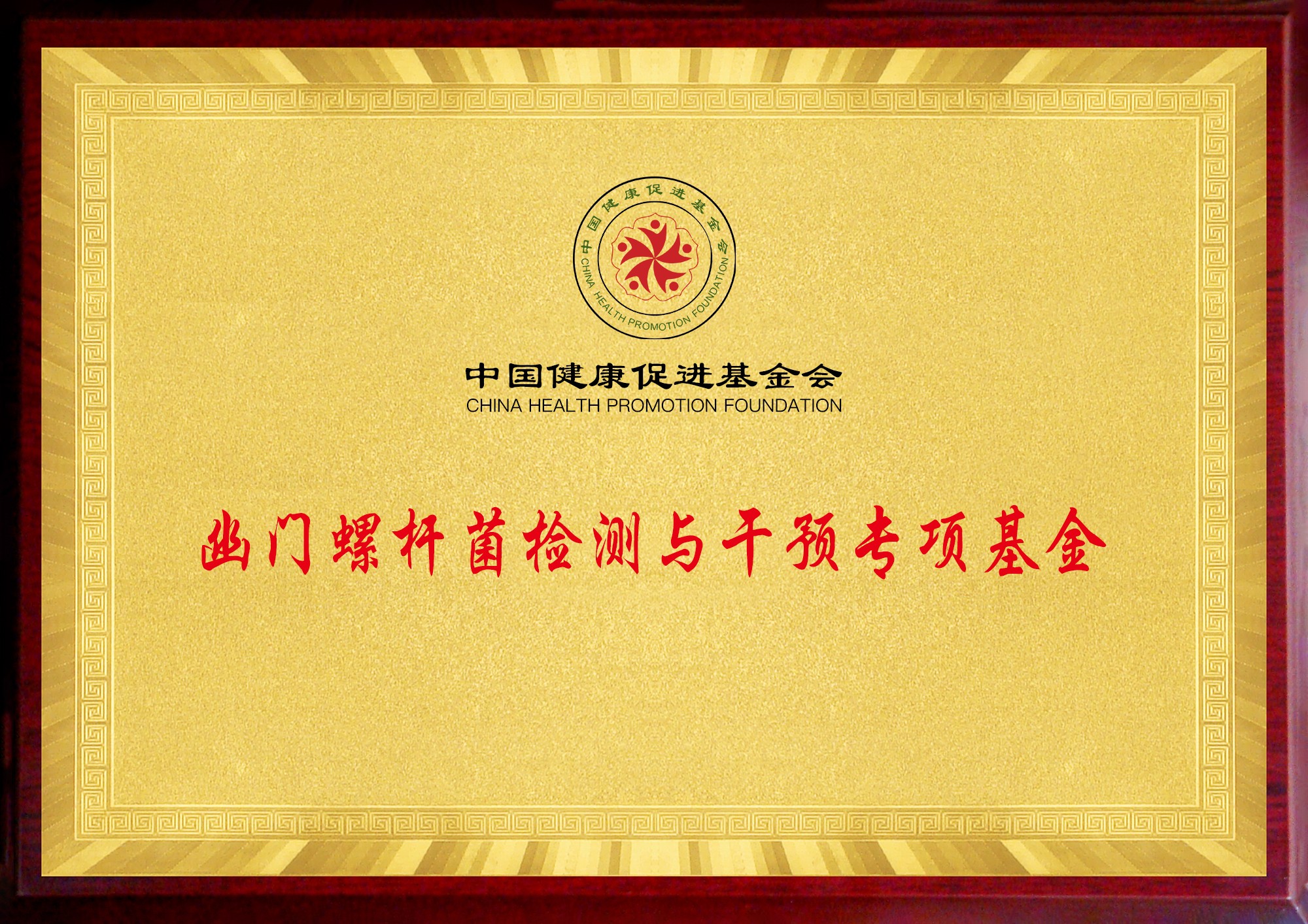 幽門螺桿菌檢測與干預專項基金.jpg